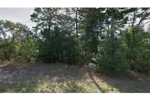 9055 AMBOY DRIVE, CITRUS SPRINGS, FL 34433 - MLS#MFRO6294410