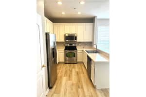 10852 SPIDER LILY DRIVE, ORLANDO, FL 32832 - MLS#MFRO6294460