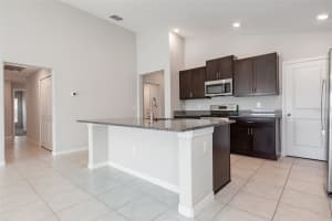 13581 WILLOW BLUESTAR LOOP, RIVERVIEW, FL 33579 Sold 07/31/25