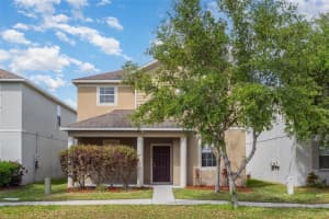 13417 Lake Monroe Pl, RIVERVIEW