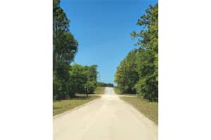 WEST 1/2 OF LOT 2, BLOCK 177, ROLLING HILLS #5, OCALA, FL 34481 - MLS#MFRO6294624
