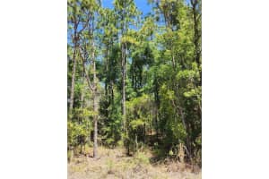 WEST 1/2 OF LOT 2, BLOCK 177, ROLLING HILLS #5, OCALA, FL 34481 - MLS#MFRO6294624