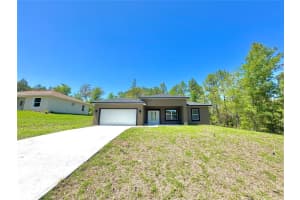 8008 TRIANA DRIVE, CITRUS SPRINGS, FL 34434 - MLS#MFRO6295210