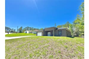 8008 TRIANA DRIVE, CITRUS SPRINGS, FL 34434 - MLS#MFRO6295210