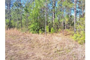 2 LAGUNA DRIVE, INDIAN LAKE ESTATES, FL 33855 - MLS#MFRO6295251