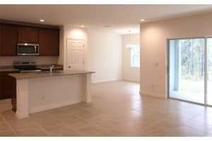 224 GLASS ONION DRIVE, GROVELAND, FL 34737 - MLS#MFRO6295397