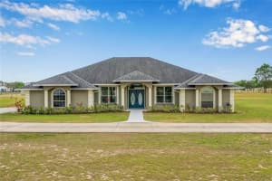11400 Lovers Ln, WINTER GARDEN