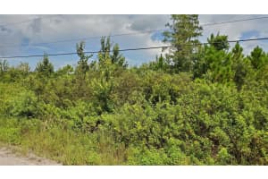 QUAIL NEST LN, NEW SMYRNA BEACH, FL 32168 Sold 04/24/25