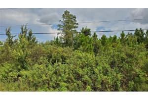 QUAIL NEST LN, NEW SMYRNA BEACH, FL 32168 Sold 04/24/25