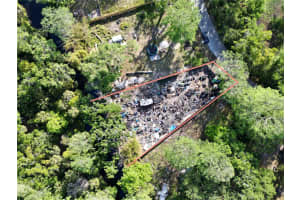 3537 ELFERS PARKWAY, NEW PORT RICHEY, FL 34655 Sold 05/02/25