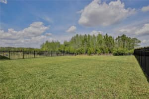 11725 LANGUAGE WAY, ORLANDO, FL 32832 Sold 05/19/25