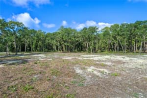 29901 STATE ROAD 44, EUSTIS, FL 32736 - MLS#MFRO6296455