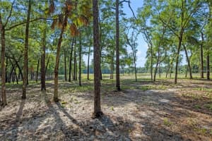 29901 STATE ROAD 44, EUSTIS, FL 32736 - MLS#MFRO6296455