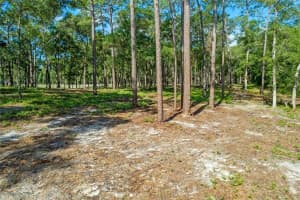 29901 STATE ROAD 44, EUSTIS, FL 32736 - MLS#MFRO6296455