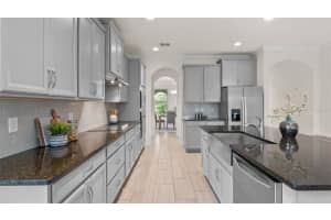 10133 MERRYMEETING BAY DRIVE, WINTER GARDEN, FL 34787 - MLS#MFRO6296571