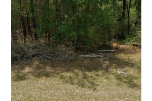 11908 MONICA DRIVE, CITRUS SPRINGS, FL 34433 Sold 12/19/25