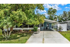 133 Moss Dr, DEBARY