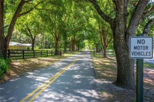8 TRILBY BRANCH, LONGWOOD, FL 32779 Sold 07/30/25