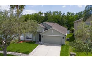 2524 Brookstone Dr, KISSIMMEE