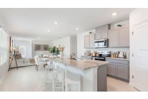 206 AMBERWOOD WAY, UMATILLA, FL 32784 Sold 05/21/25