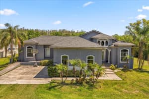 16805 TOBACCO ROAD, LUTZ, FL 33558 - MLS#MFRO6297899