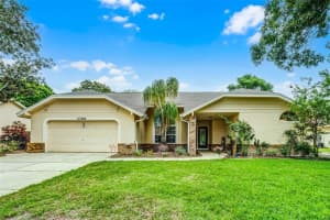 10119 BAYARD COURT, ORLANDO, FL 32836 Sold 07/02/25