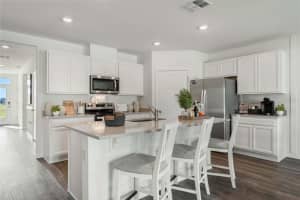 155 AMBERWOOD WAY, UMATILLA, FL 32784 Sold 07/31/25
