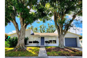 2806 SHELTON AVENUE, TAMPA, FL 33611 Sold 07/08/25
