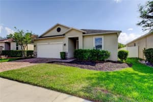 25242 CARNATION SEDGE WAY, LAND O LAKES, FL 34639 - MLS#MFRO6298354