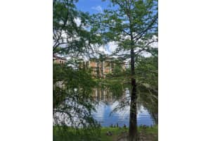 12539 FLORIDAYS RESORT DR DRIVE, ORLANDO, FL 32821 Sold 08/18/25