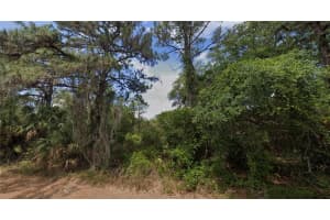 14310 DUNLAP AVENUE, PORT CHARLOTTE, FL 33953 - MLS#MFRO6298787
