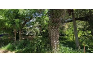 9239 TREASURE ISLAND AVENUE, LEESBURG, FL 34788 - MLS#MFRO6298941