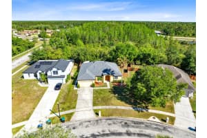 19319 BRIERCREST TRAIL, ORLANDO, FL 32833 Sold 08/15/25