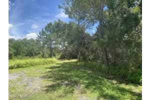 111 BUTLER RIDGE COURT, DELTONA, FL 32738 - MLS#MFRO6299139