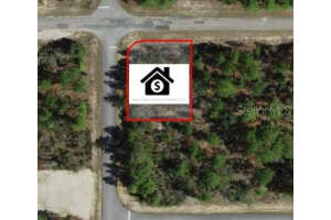 6568 DUNLAP TERRACE, CITRUS SPRINGS, FL 34433 Sold 09/11/25