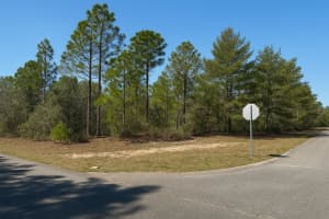 6568 DUNLAP TERRACE, CITRUS SPRINGS, FL 34433 Sold 09/11/25