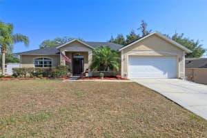149 SOUTHERN BREEZE DRIVE, MINNEOLA, FL 34715 Sold 07/01/25