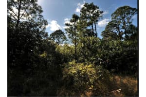 KIMBERLY DR, NORTH PORT, FL 34288 - MLS#MFRO6299522