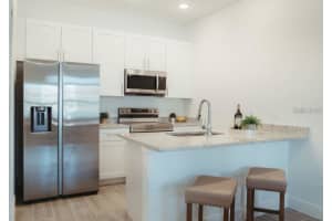 1586 CUMIN DRIVE, KISSIMMEE, FL 34759 - MLS#MFRO6299540