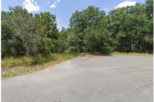 LOCUST PASS TRL, OCALA, FL 34472 Sold 09/04/25