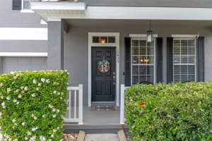 10435 EASTPARK LAKE DRIVE, ORLANDO, FL 32832 - MLS#MFRO6299750