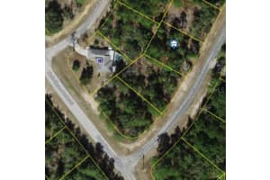 8198 UPLAND DRIVE, CITRUS SPRINGS, FL 34434 - MLS#MFRO6299922