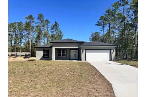 1905 LINDEN DRIVE, CITRUS SPRINGS, FL 34434 - MLS#MFRO6299955