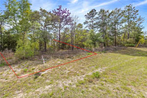 8009-1158-10, OCALA, FL 34473 - MLS#MFRO6300103