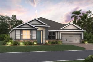 873 Pointe Emerson Blvd, APOPKA