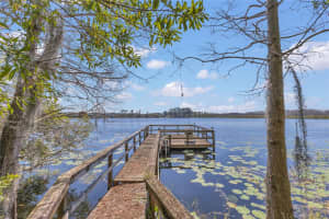 9222 CHARLES E LIMPUS ROAD, ORLANDO, FL 32836 Sold 07/14/25