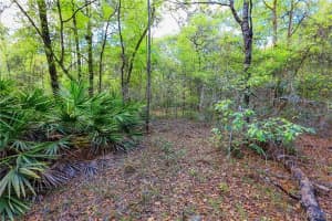 7615 RAINBOW STREET, DUNNELLON, FL 34433 - MLS#MFRO6300499