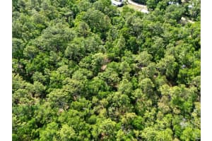 7615 RAINBOW STREET, DUNNELLON, FL 34433 - MLS#MFRO6300499