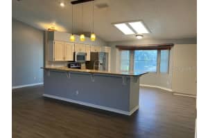 6419 BORG STREET, LEESBURG, FL 34748 - MLS#MFRO6301006