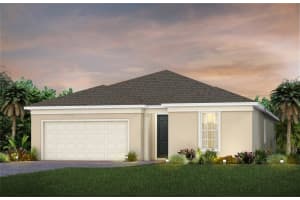 2725 Serenity Meadow Dr, KISSIMMEE